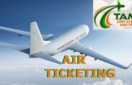 Air-Ticketing 06