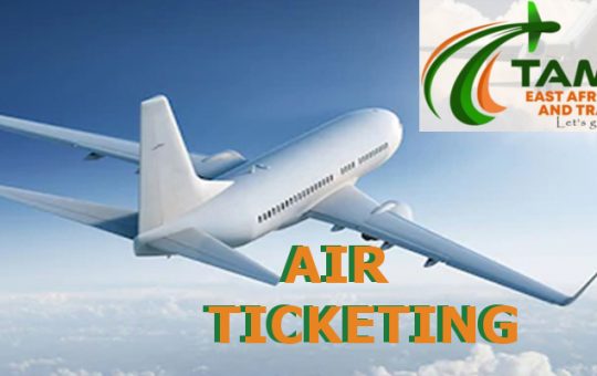 Air-Ticketing 06