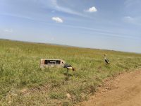 Tambo East Africa Tours