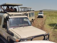 Tambo East Africa Tours