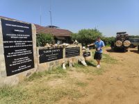 Tambo East Africa Tours