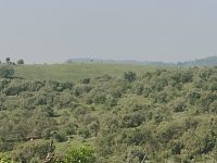 Tambo East Africa Tours